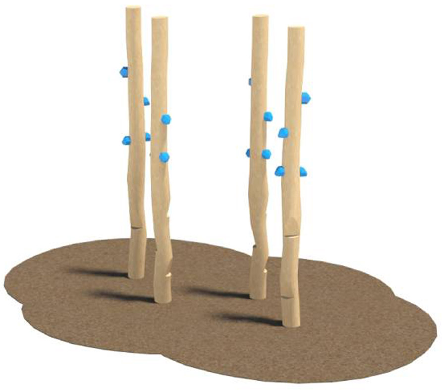 Climbing forest of the ninja playground - Four wooden sticks planted in the ground with blue climbing holds attached.